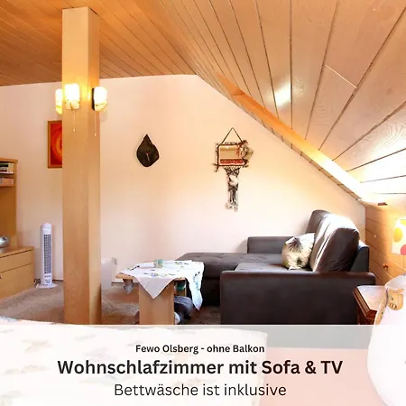 Sauerland Und Olsberg