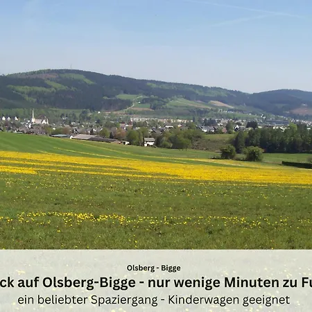 Sauerland Und Olsberg