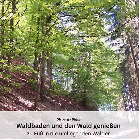 Sauerland Und Apartamento *