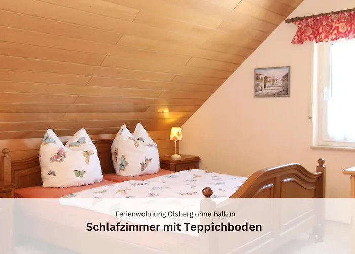 Sauerland Und Daire Olsberg