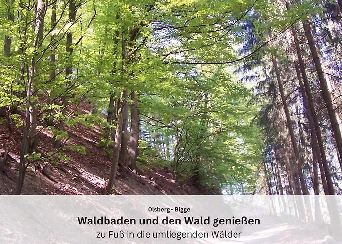 Sauerland Und Apartamento *